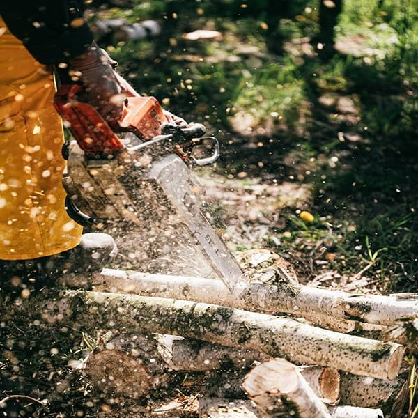 treeService Tree Service